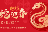 辭舊迎新，蛇舞華章丨深圳容金科技全體員工祝您新春快樂！